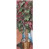 Image 1 : 6FT SHOWHOME SILK TREE - TWIST TRUNK