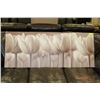 Image 1 : CANVAS BROWN TULIP PICTURE