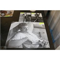SET OF 3 JAMES DEAN PLAQUES ON WOOD
