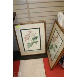 LOT OF 2 FRAMED PICTURES FROM BOMBAY AND CO.