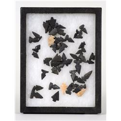 Approx. 50 Stone Bird Points