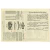 Image 2 : Maccabees, ca.1911-1920 Specimen Insurance Membership Policy.