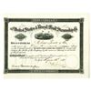 Image 1 : United States & Brazil Mail Steamship Co., 1891 Stock.