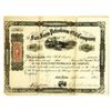 Image 1 : Fair Farm Petroleum Oil Co., 1865 Issued Stock Certificate.