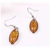 Image 2 : Amber Pendant Necklace & Earring Set