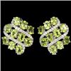 Image 1 : Stunning Natural Peridot Earrings