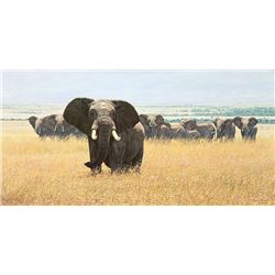 Confrontation  by Simon Combes