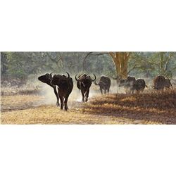 DROUGHT, DUST AND DANGER  by Simon Combes