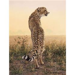 First Light  by Simon Combes   LIMITED EDITION CANVAS