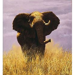 Tsavo Sentinel  by Simon Combes   LIMITED EDITION CANVAS