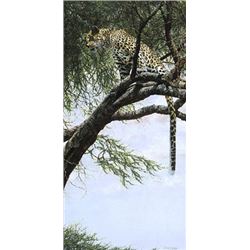 THE BUSHWHACKER  by Simon Combes   LIMITED EDITION PRINT