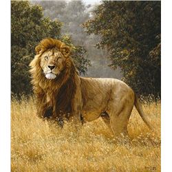 SIMBA  by Simon Combes   LIMITED EDITION PRINT  Image size: 16 5/8"w x 19"h.