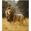Image 1 : SIMBA  by Simon Combes   LIMITED EDITION PRINT  Image size: 16 5/8"w x 19"h.