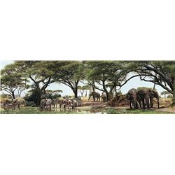 AFRICAN OASIS  by Simon Combes   LIMITED EDITION PRINT  Image size: 46"w x 14