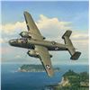Image 1 : Evasive Action Over Sagami Bay  by William S. Phillips   LIMITED EDITION CANVAS