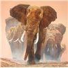Image 1 : Big Daddy  by Guy Combes   LIMITED EDITION CANVAS