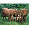Image 1 : The Creche  by Guy Combes   MASTERWORK CANVAS EDITION  Image size: 40"w x 30"h.   Limited Edition of