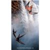 Image 1 : "Zambezi Falls - Taita Falcon and European Swifts" by Andrew Ellis