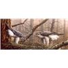 Image 1 : "The Mating Game", Goshawks at the Nest by Andrew Ellis