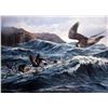 Image 1 : "Puffin Pursuit" by Andrew Ellis