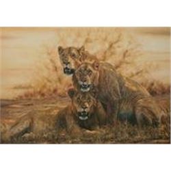 "Hot Lions" by Simon Combes