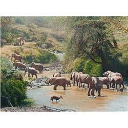 Ancestral Oasis  by Guy Combes