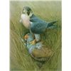Image 1 : Tiercel Peregrine & Grey Partridge by Ron Digby