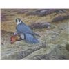 Image 1 : Peregrine Falcon With Grouse by Ron Digby