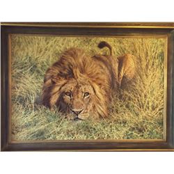 " Locked & Loaded" by BRIAN JARVI