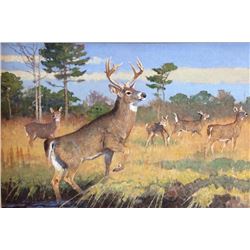 "Young Buck and Doe" by BOB KUHN