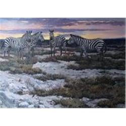 "Curious - Zebra" by JOHN SEEREY-LESTER