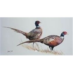 "Struting Their Stuff Ring necks" by LINDSAY SCOTT