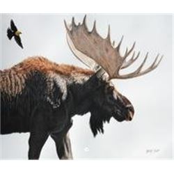 From out in Left Field/Bull Moose by LINDSAY SCOTT