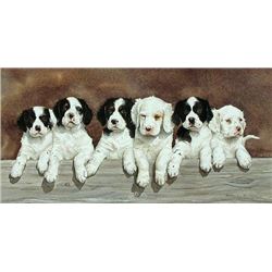 "Six Pak" by Noel Dunn