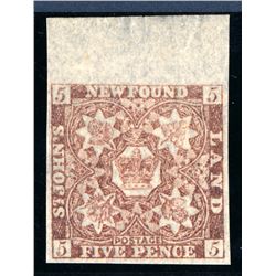 Newfoundland #19 VF never hinged.