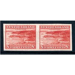 Newfoundland #209a VF NH.