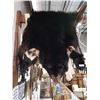 Image 1 : BLACK BEAR SKIN RUG APPROX. 6'