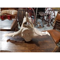 WHALEBONE VERTEBRAE CARVING 19"W X 11.5"H