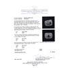 Image 5 : 2.36 ctw Black Diamond Ring - 14KT White Gold