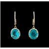 Image 1 : 6.41 ctw Apatite and Diamond Earrings - 14KT Yellow Gold