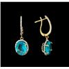 Image 2 : 6.41 ctw Apatite and Diamond Earrings - 14KT Yellow Gold