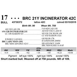 BRC 21Y INCINERATOR 42C