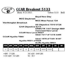 CCAR Breakout 5133
