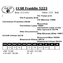 CCAR Franklin 5223