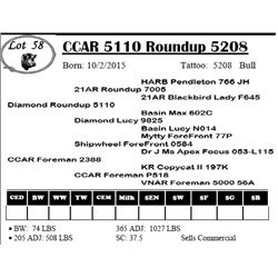 CCAR 5110 Roundup 5208