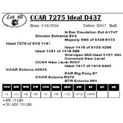 CCAR 7275 Ideal D437