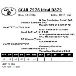 CCAR 7275 Ideal D372