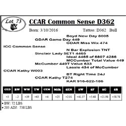 CCAR Common Sense D362