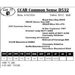 CCAR Common Sense D532