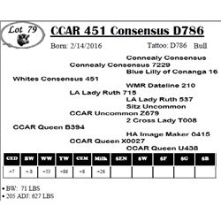 CCAR 451 Consensus D786